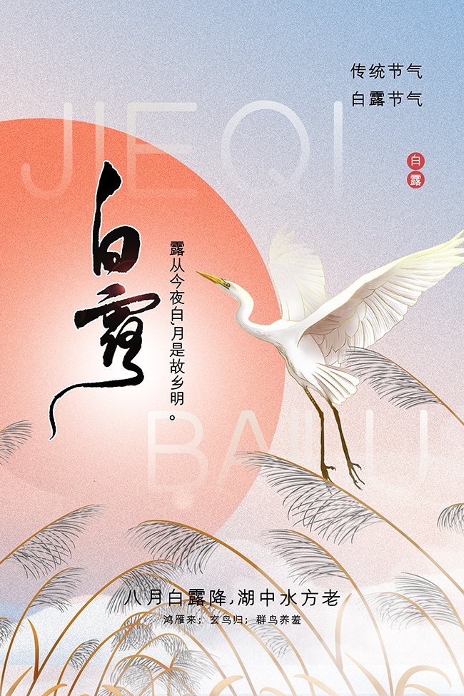 中国传统节气白露海报