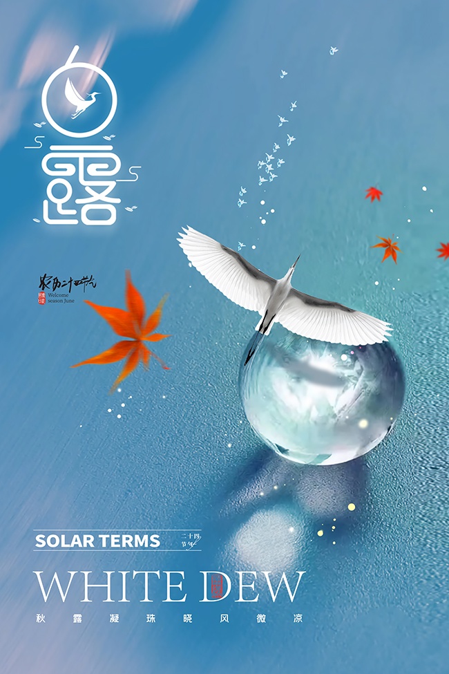 白露节气宣传图片素材