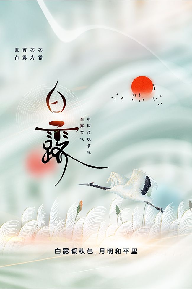 清新白露节气海报