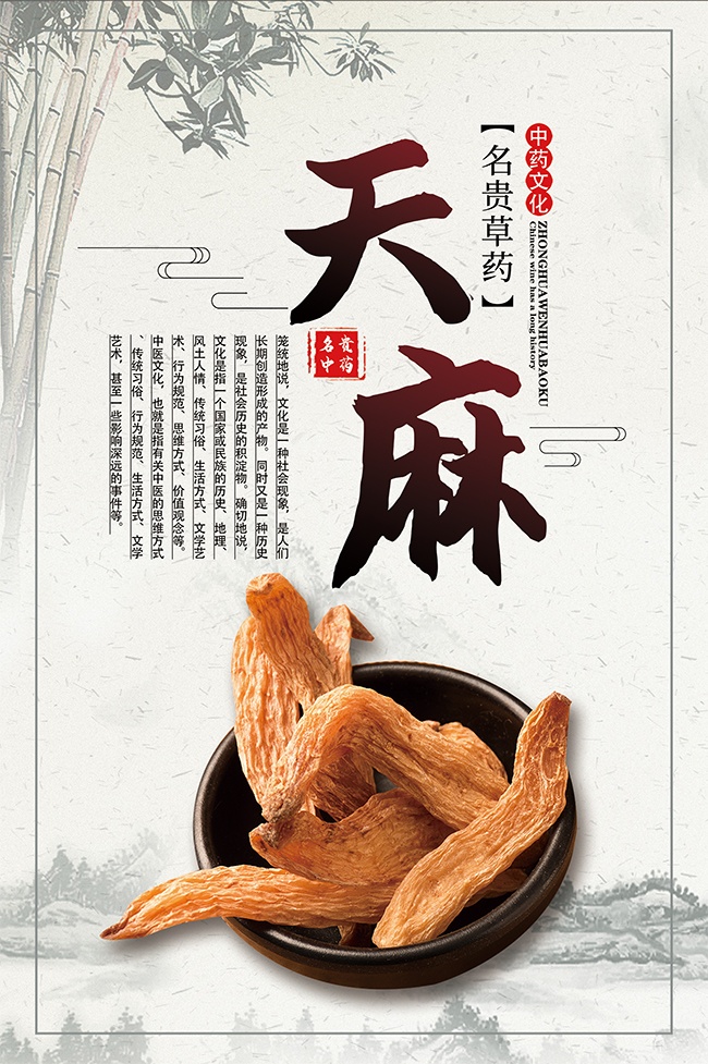 天麻中医药文化海报图片素材