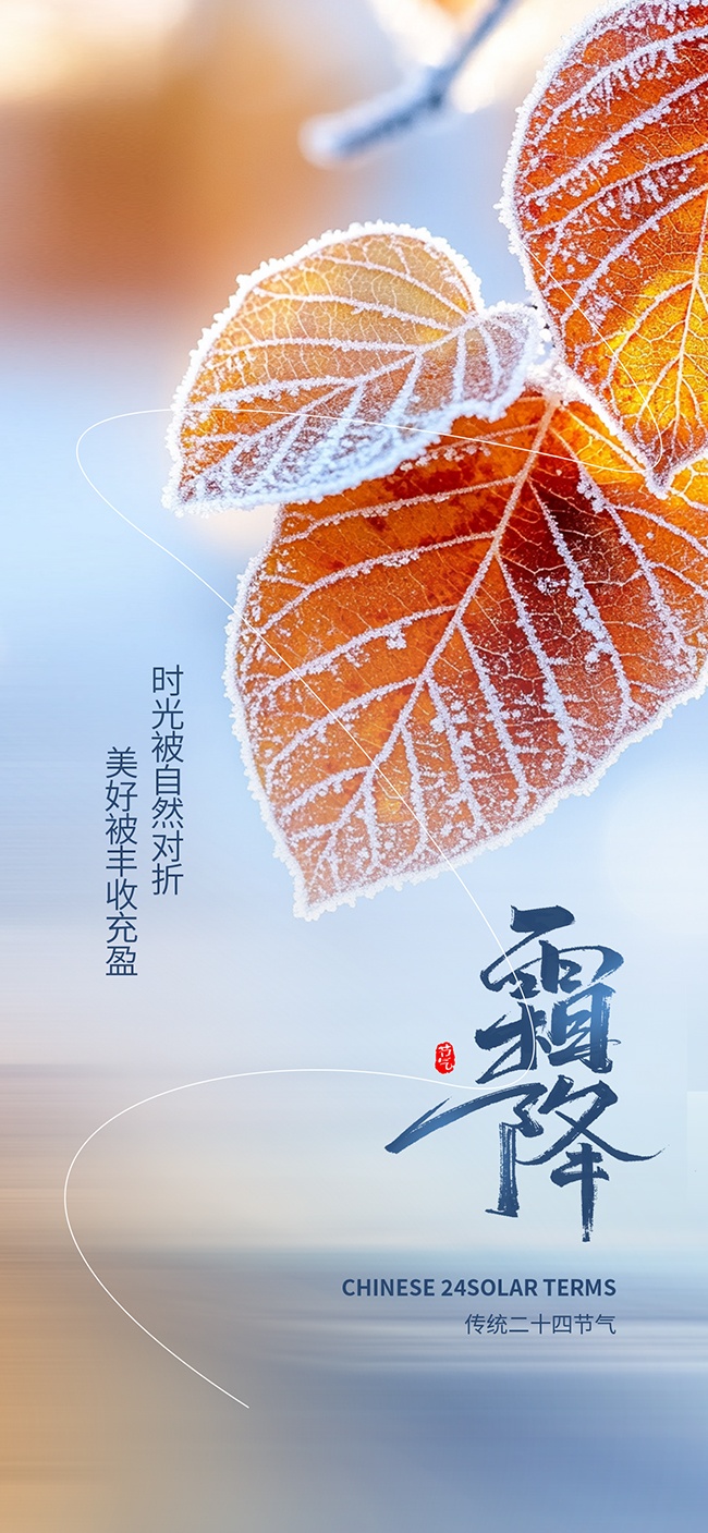 唯美二十四节气霜降广告