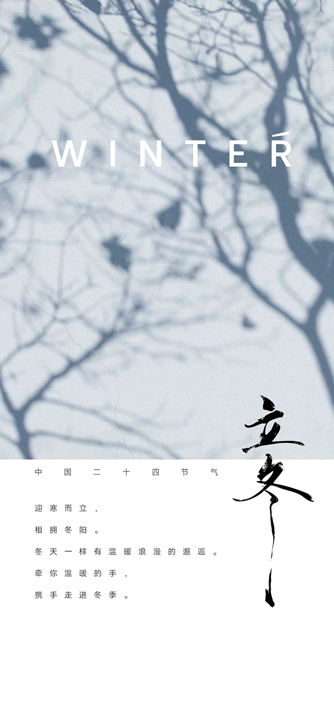 简约大气立冬节气海报