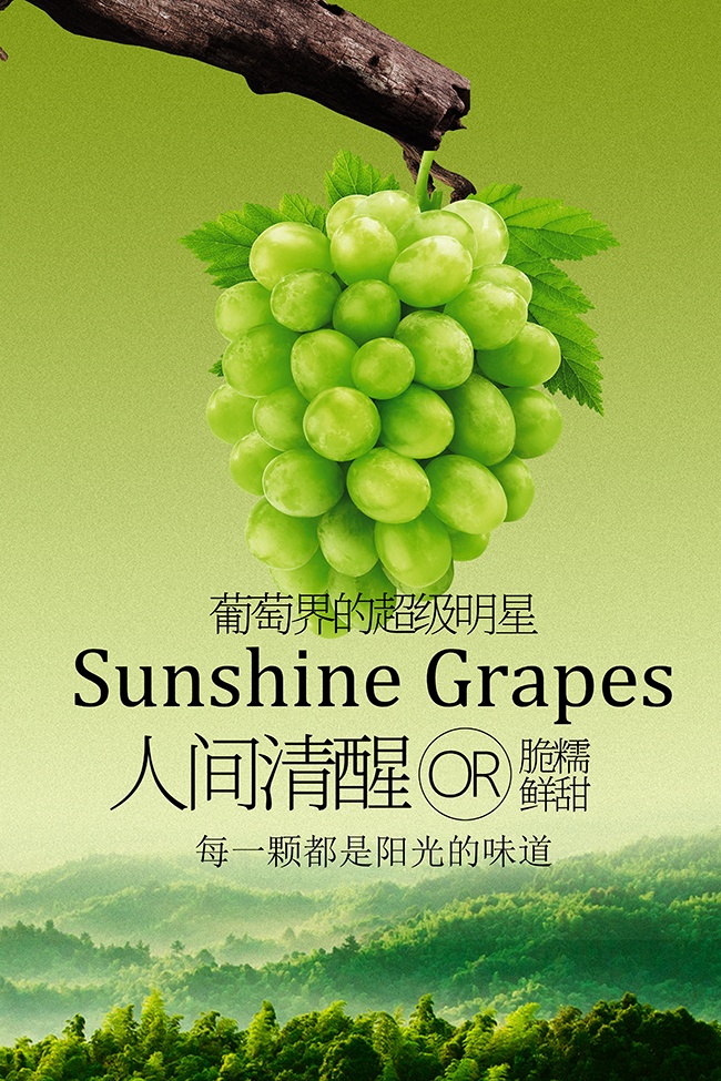 创意绿色背景青提葡萄水果海报