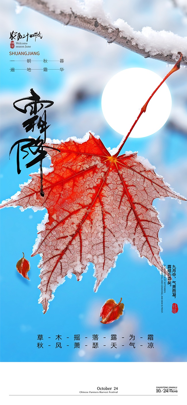 二十四节气霜降海报