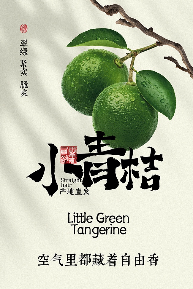 小青桔简约水果海报图片