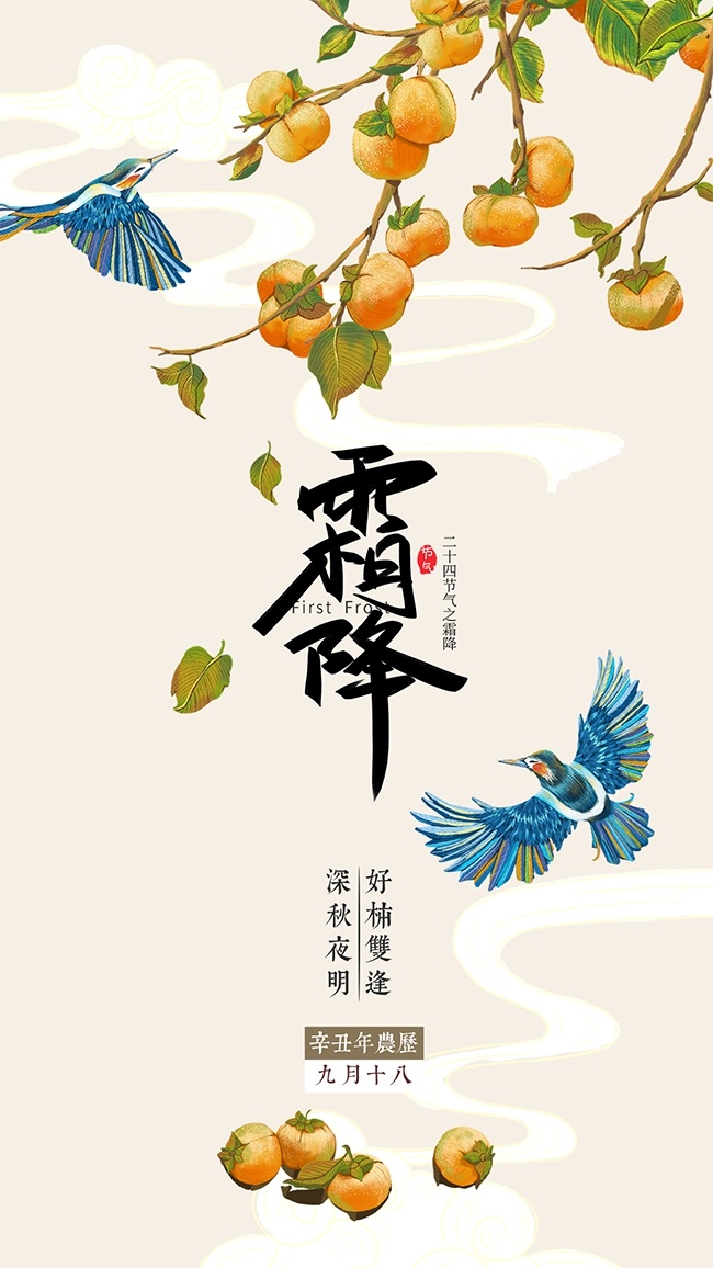 柿子树主题霜降节气广告