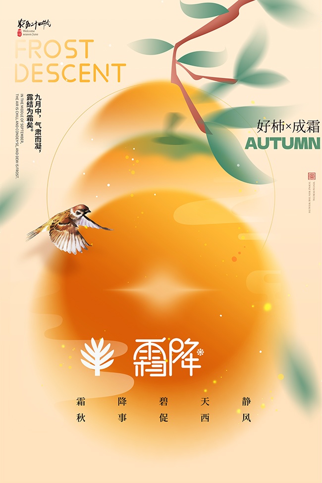 ������˪˪����������