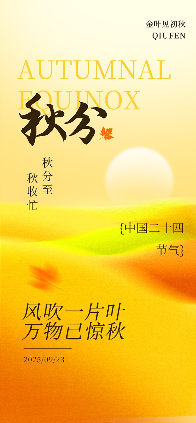 �紵һƬҶ��ֽ�������