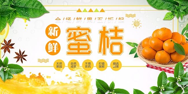 新鲜桔子水果展板设计