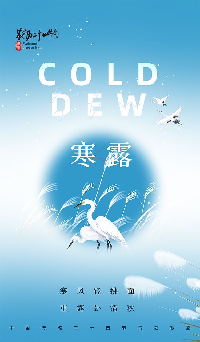 寒风轻拂中国传统节气寒露海报