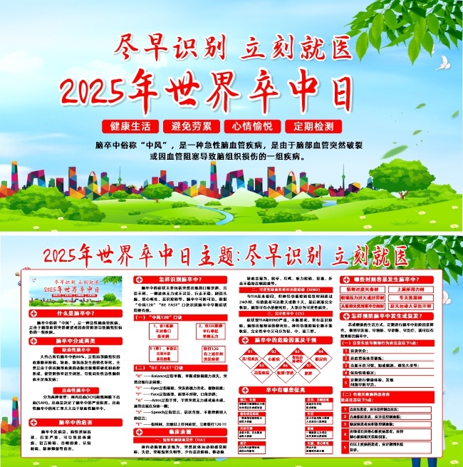 2025年世界卒中日宣传展板
