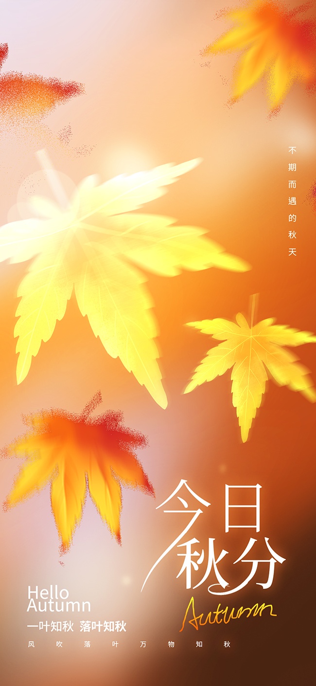 手绘秋分节气海报