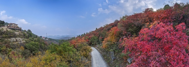 宽幅山间红叶秋色全景图风景