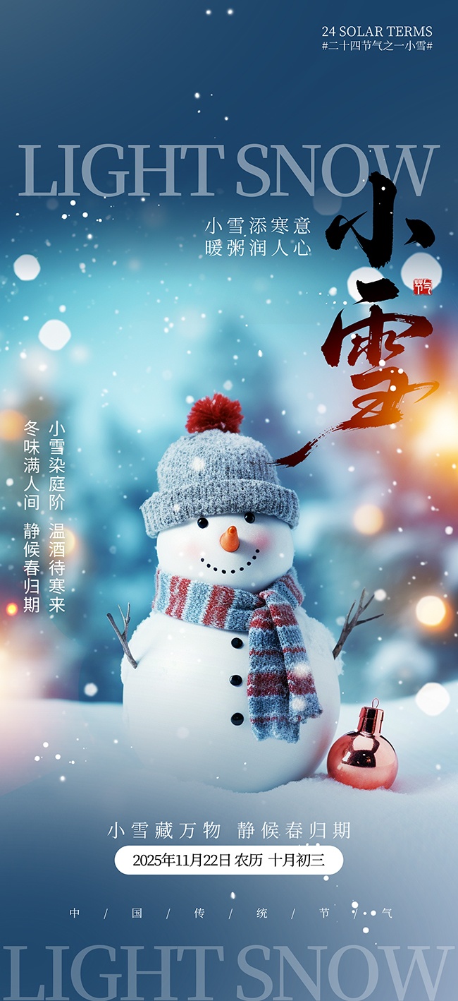 大气风冬季系列小雪节气海报