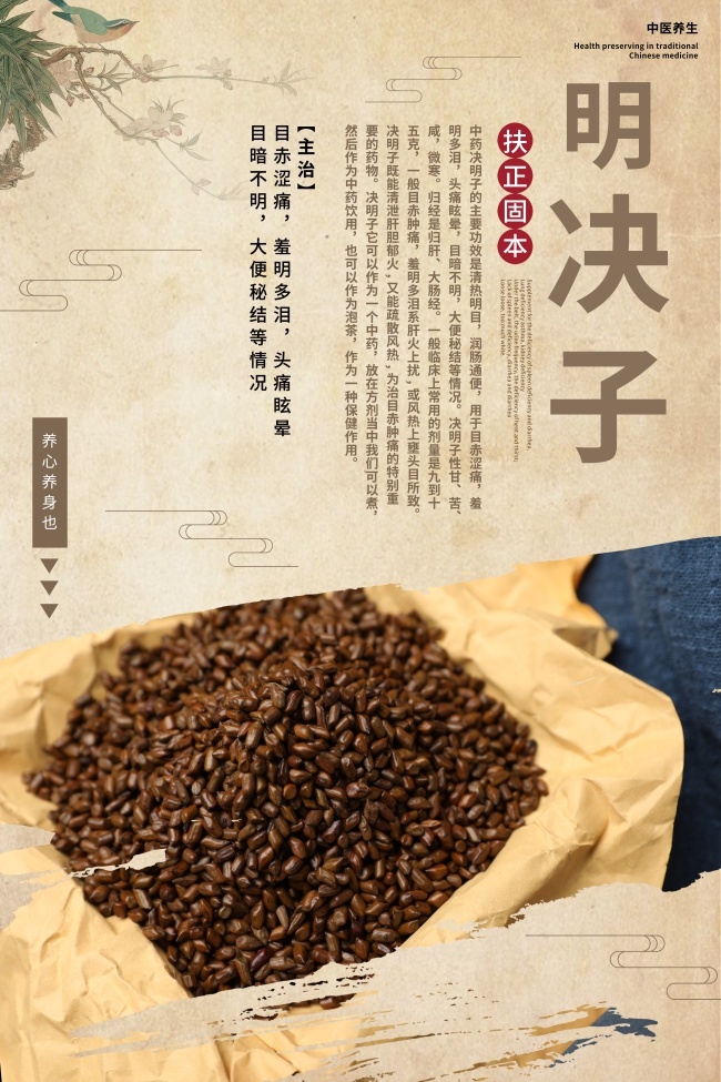 养生养心决明子药理知识海报