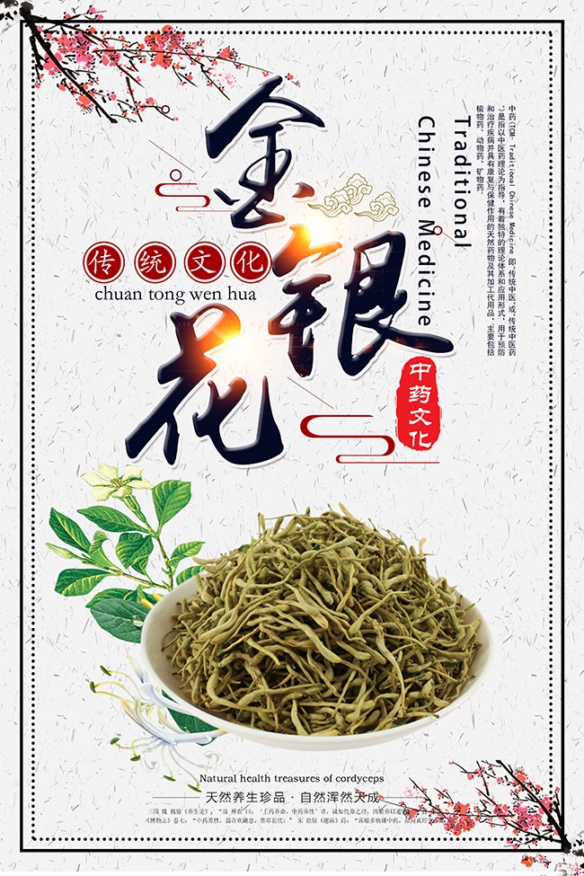 养生珍品金银花药理知识海报挂图