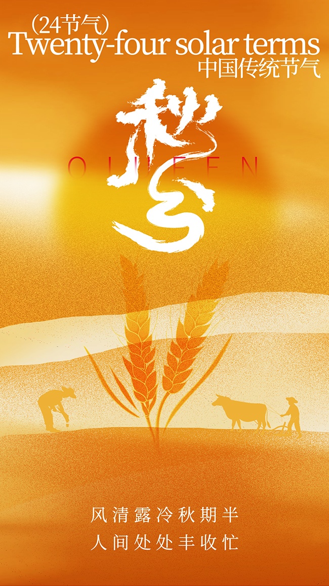 水稻中国传统节气秋分海报