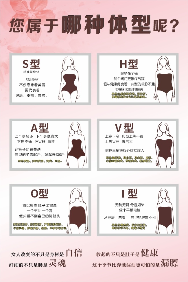 身材体型科普塑形海报