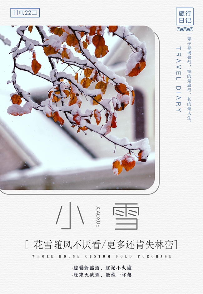 创意简洁小雪节气海报