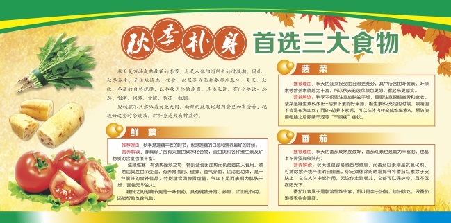 秋季养生知识展板