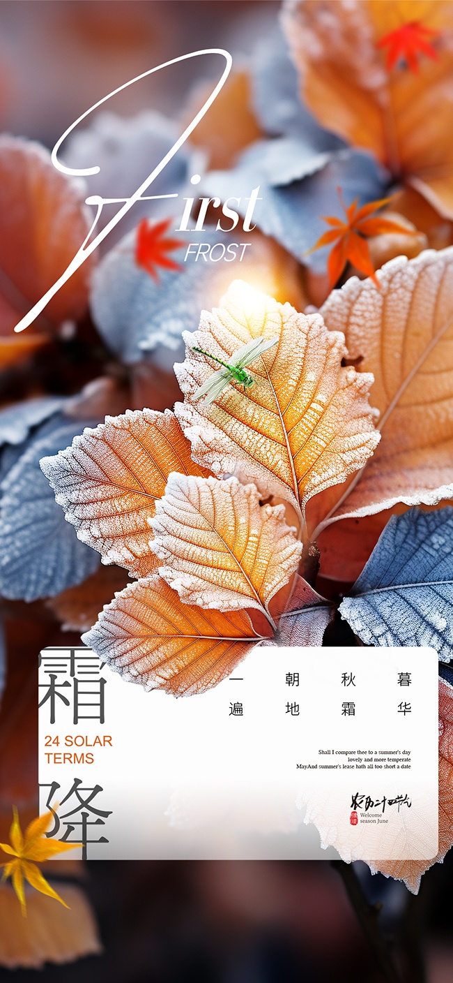 霜降节气海报图片设计素材