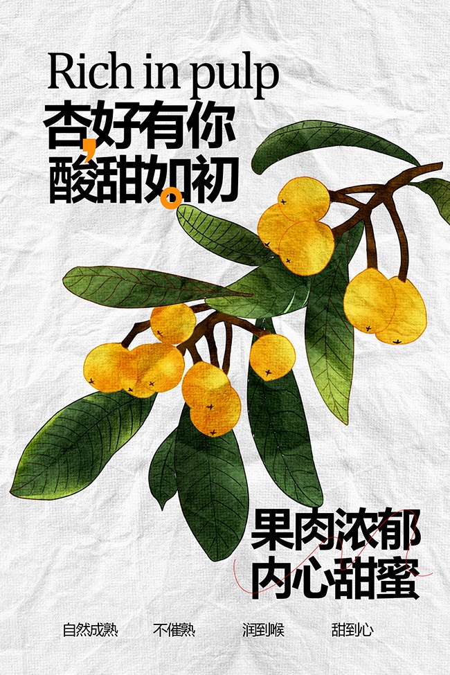 杏好有你酸甜如初水果杏子海报