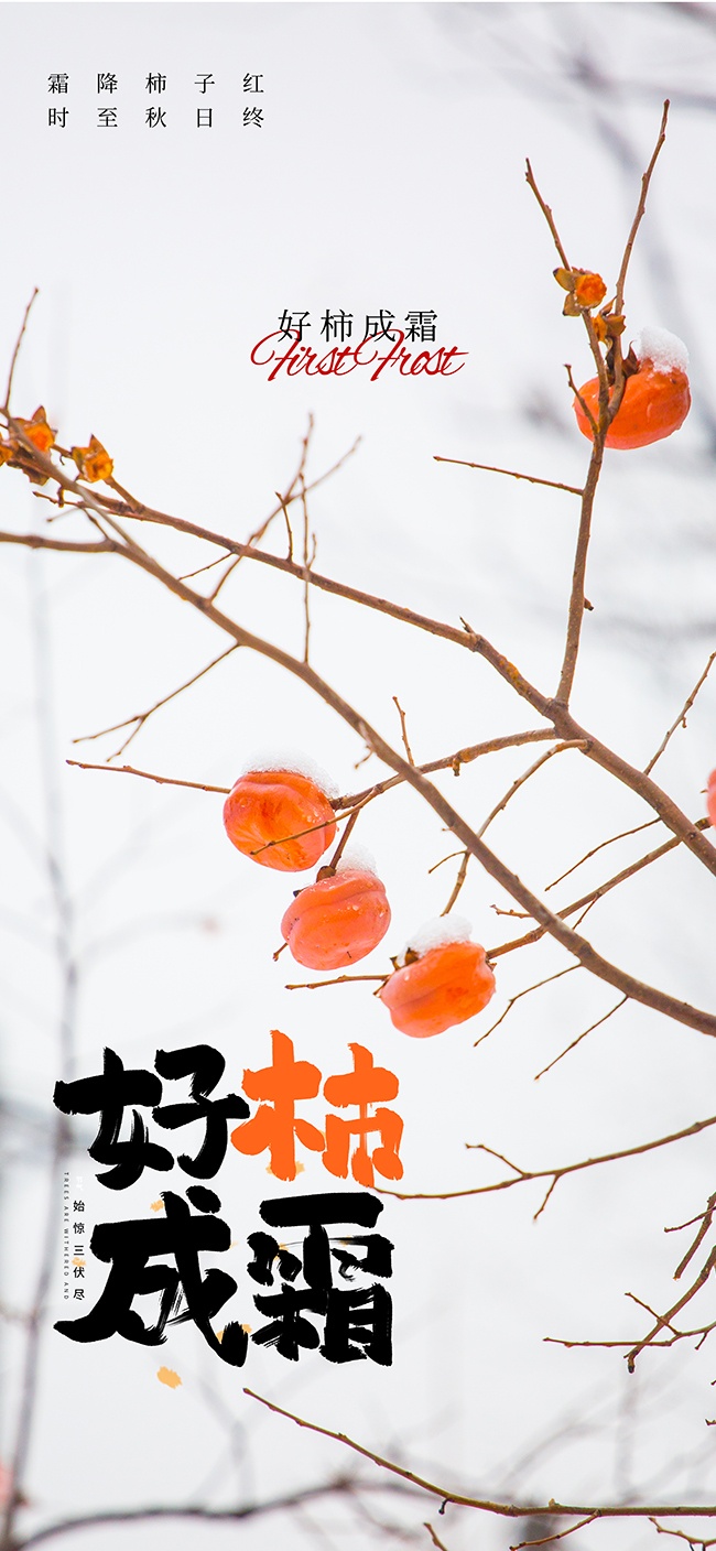 好柿成霜霜降节气海报