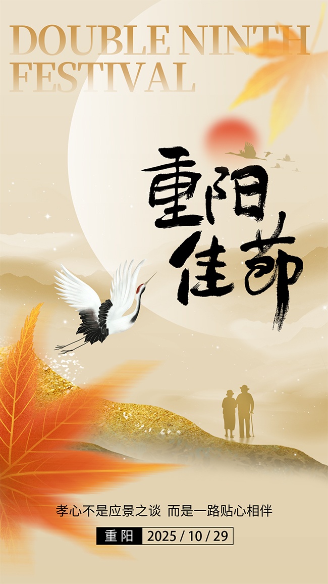 中国传统节日九九重阳节海报