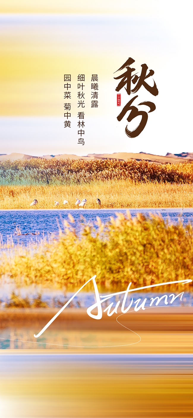 节气秋分秋天海报图片素材