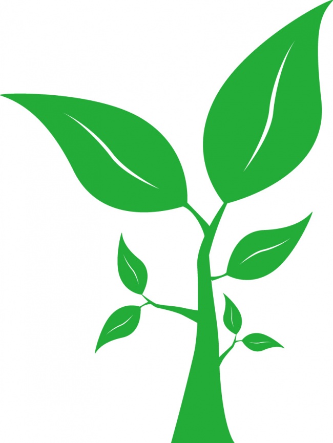 卡通树枝矢量图片素材