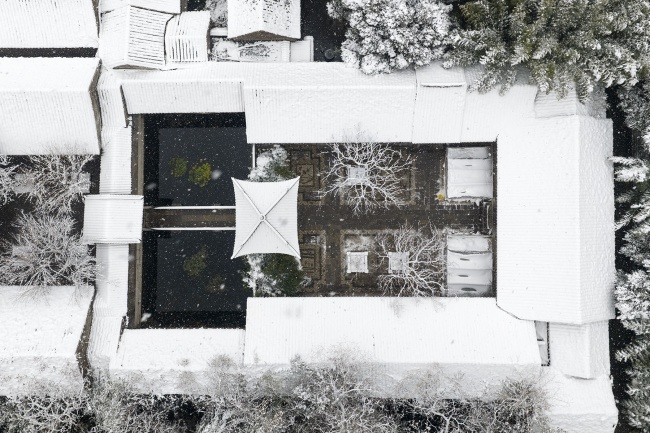 ����ѩ��ͥԺ����