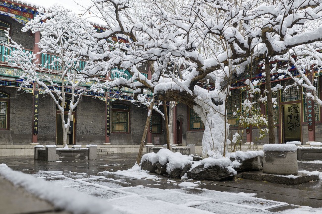 �����ĺ�Ժѩ��