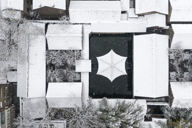 ����ɡ���쾮ѩ��