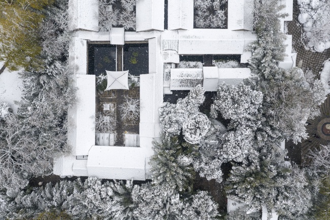 ���Ķ�����ʽ����ѩ��