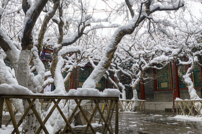 �Ž�ѩ��ͥԺ���