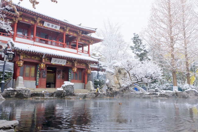 ������ʽͥԺѩ��