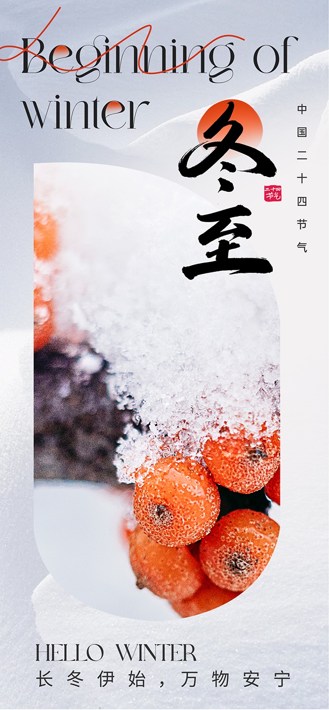 长冬伊始万物安宁冬至节气广告