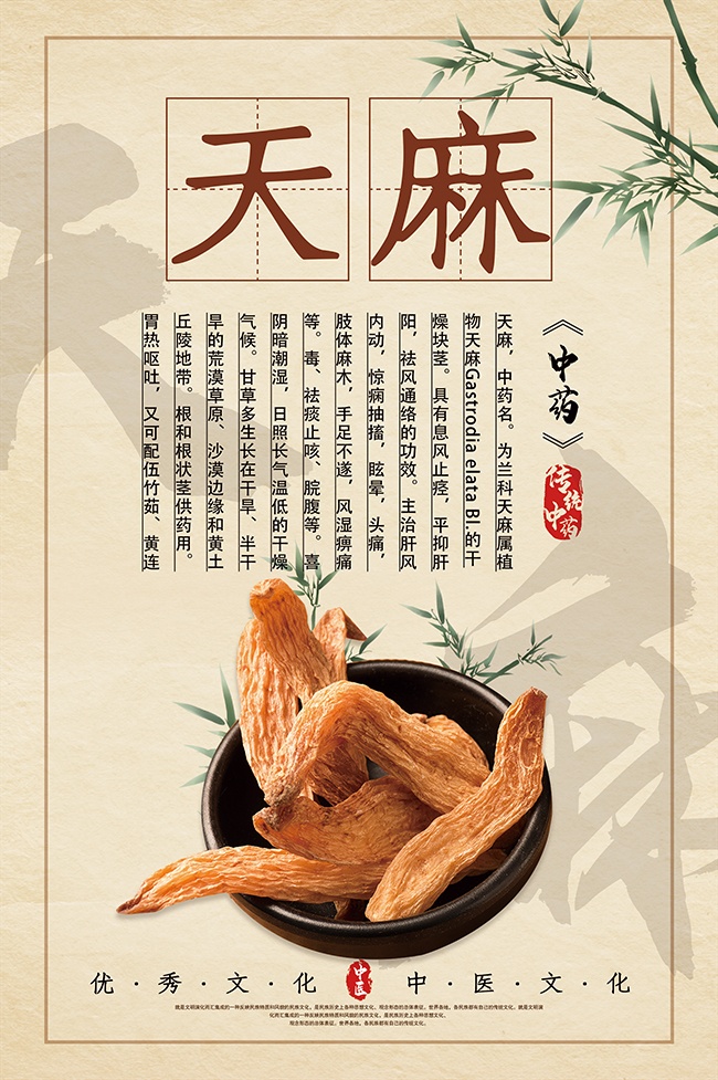 ��Լ��ҽ�Ļ�����ҩ��֪ʶ����