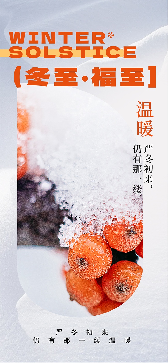 传统二十四节气冬至海报