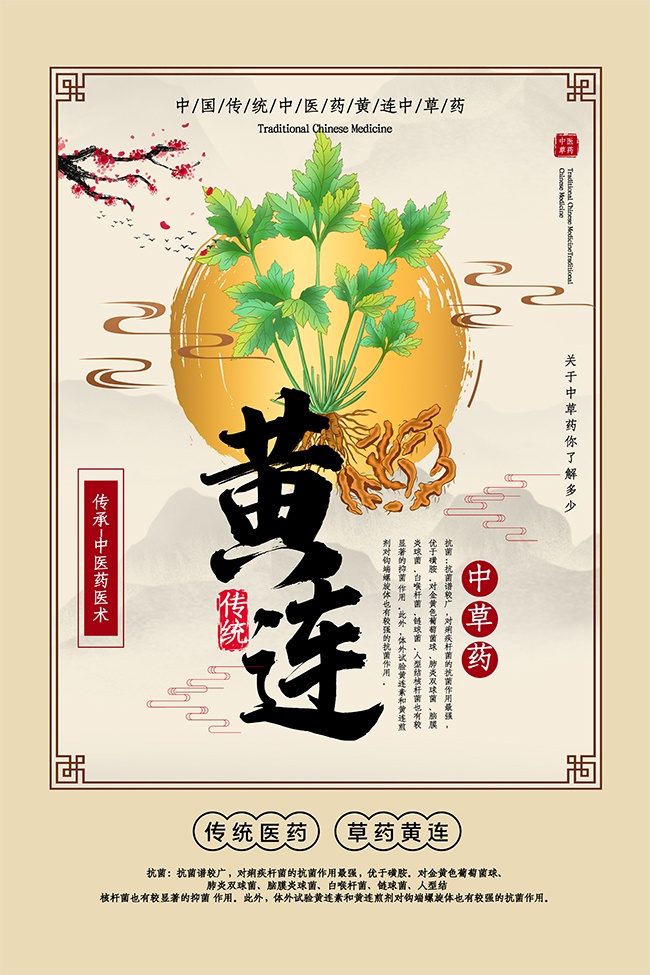 ��ҩҽ������ҩ��֪ʶ��������