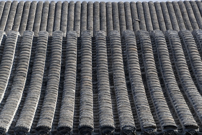 �Ž�����������ϸ��