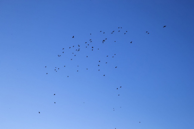 Ⱥ���������