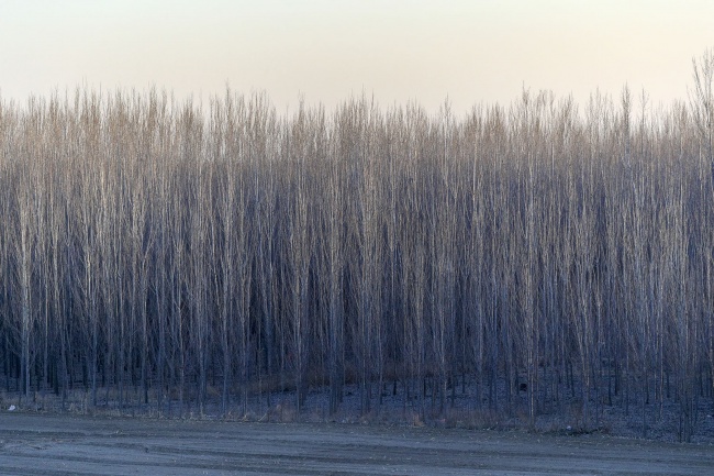 ��ͺ�����־�