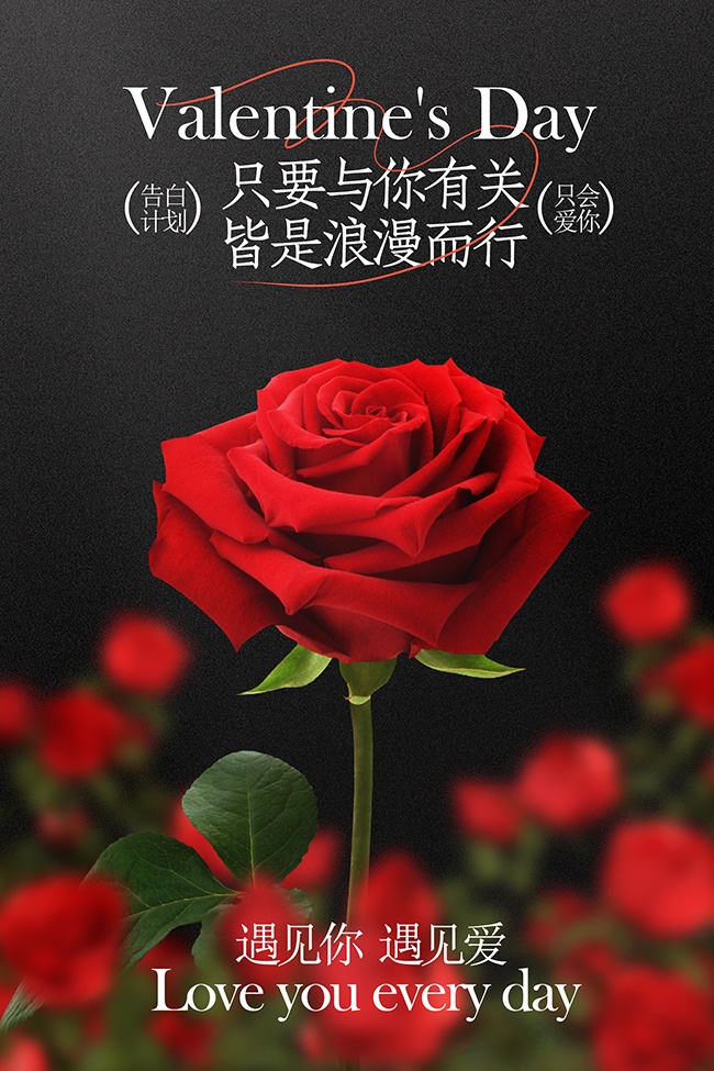 ���˽��������������������չ��