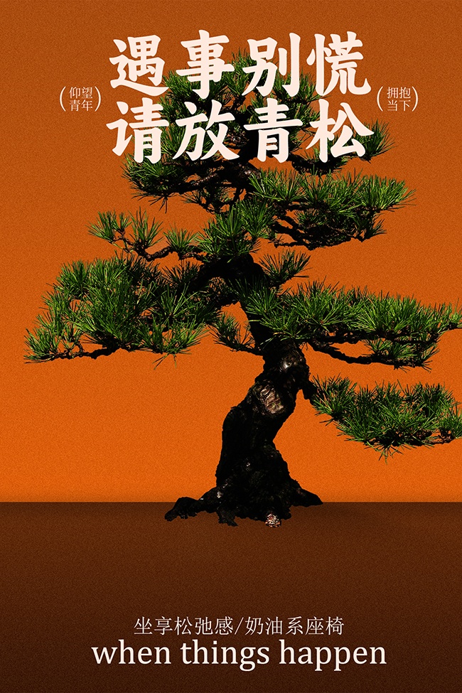 �ɳڸ�����ϵ�Ҿ�������������