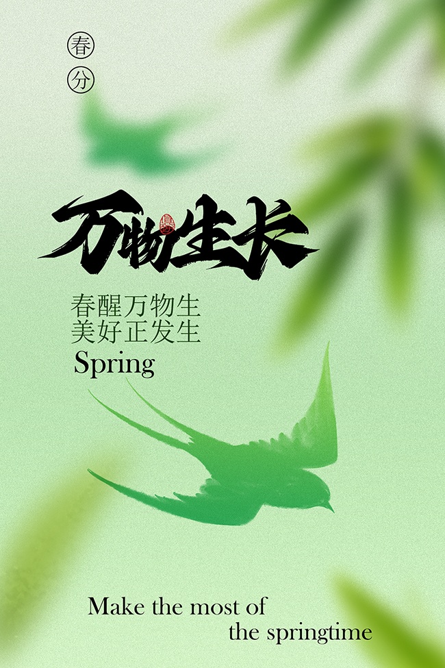 �й���ͳ�������ֽ������