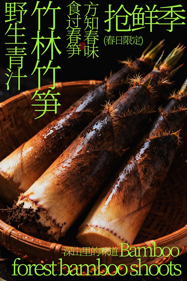 野生青汁竹林竹笋美食海报