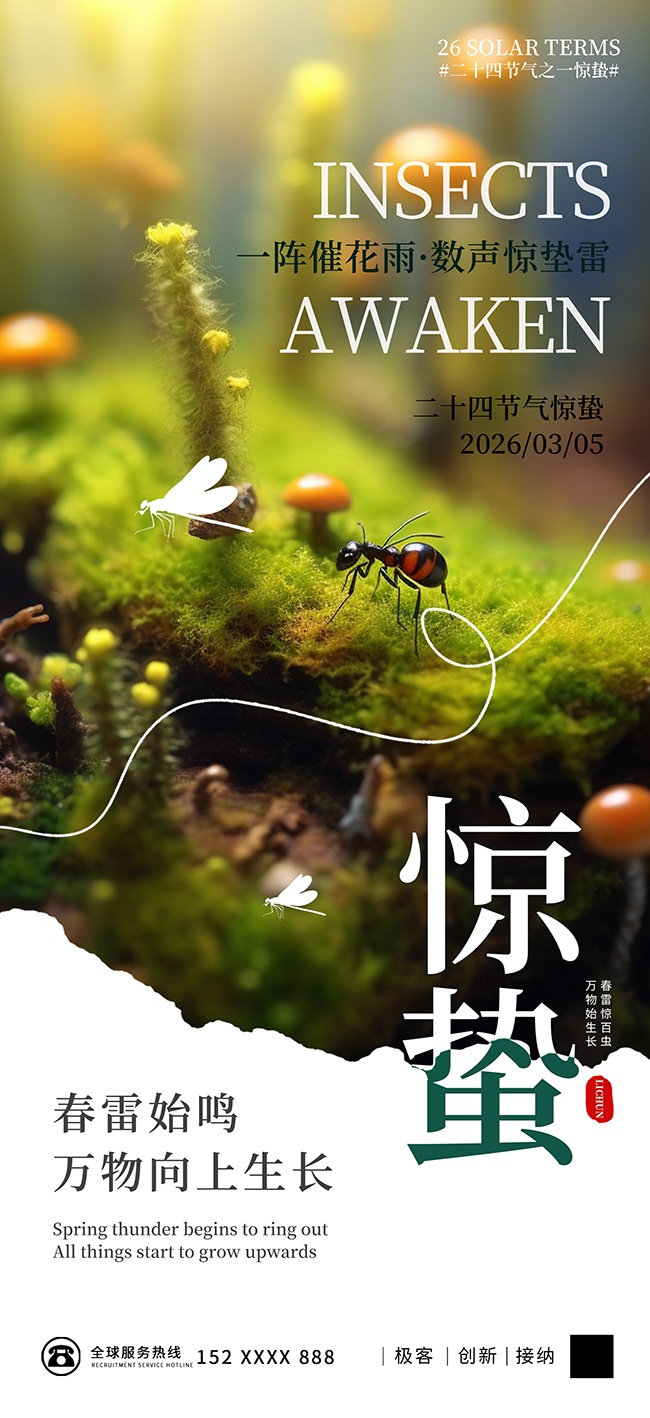 ����廭������������