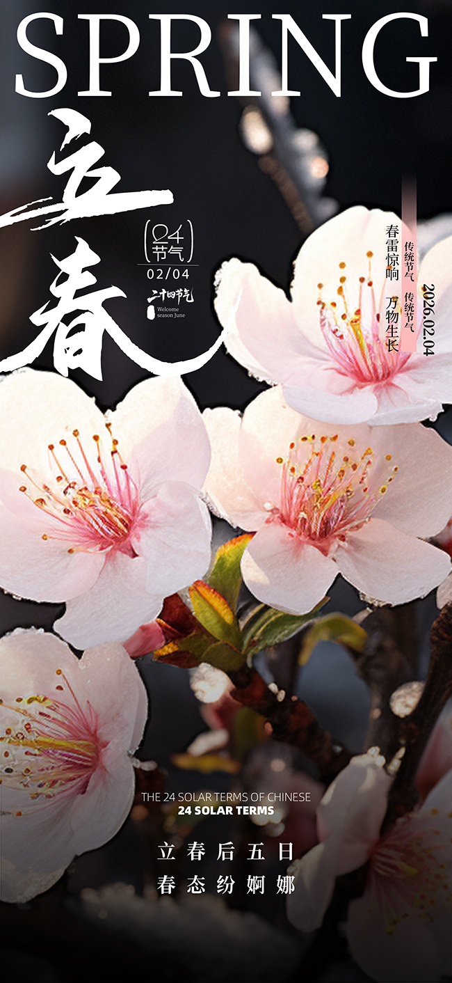 ��������24�������