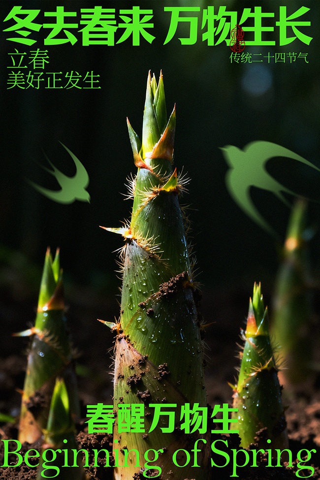 ��ȥ�������︴��������������